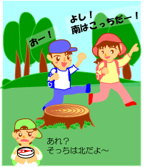 年輪と方角は無関係